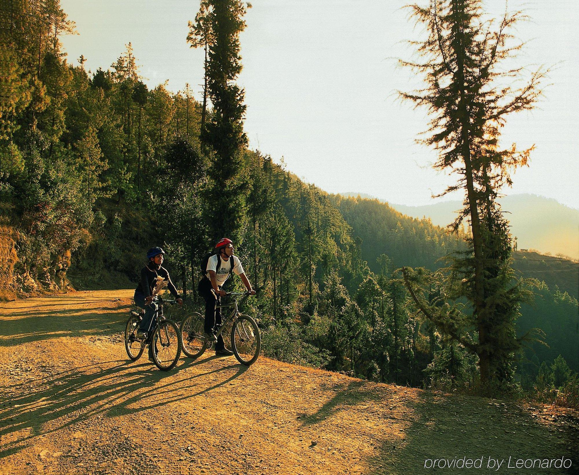 Wildflower Hall, An Oberoi Resort, Shimla Fasiliteter bilde